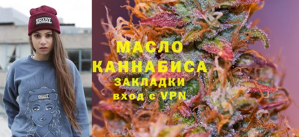 молекула духа Ладушкин