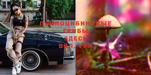 дурь Лихославль