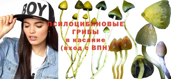 кристаллы Липки