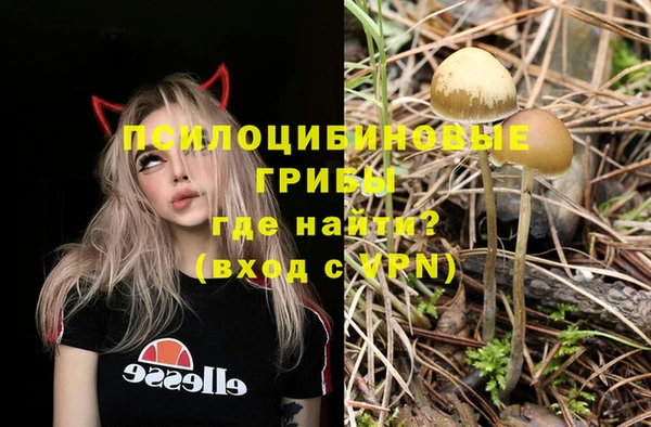 кристаллы Липки