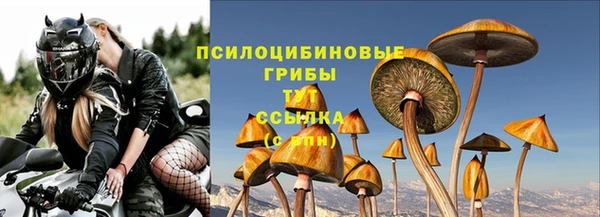 молекула духа Ладушкин