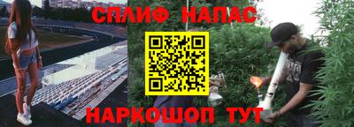 СК Обнинск
