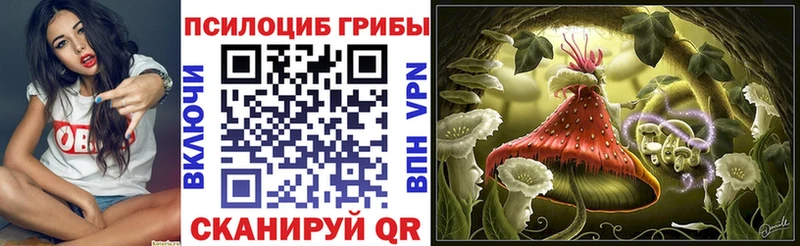 Псилоцибиновые грибы прущие грибы  где можно купить   Мариинск 